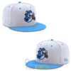 Durham Bulls Bull Sharks x Margaritaville 2026 TShirt 2 2YJz0.jpg